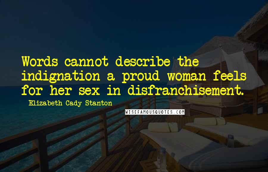 Elizabeth Cady Stanton Quotes: Words cannot describe the indignation a proud woman feels for her sex in disfranchisement.