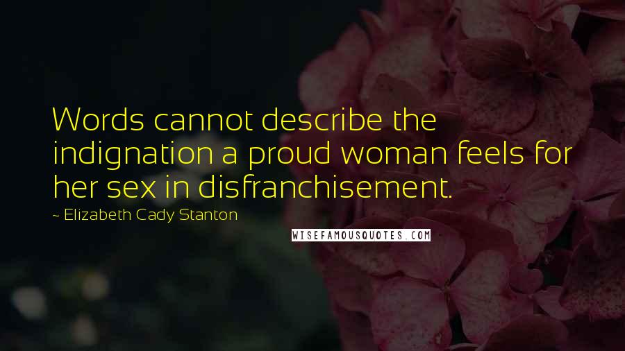 Elizabeth Cady Stanton Quotes: Words cannot describe the indignation a proud woman feels for her sex in disfranchisement.