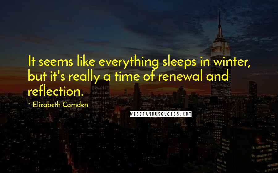 Elizabeth Camden Quotes: It seems like everything sleeps in winter, but it's really a time of renewal and reflection.
