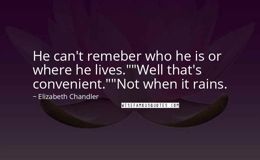Elizabeth Chandler Quotes: He can't remeber who he is or where he lives.""Well that's convenient.""Not when it rains.