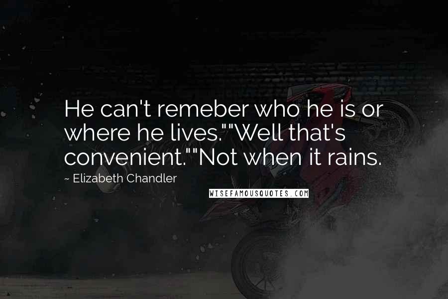 Elizabeth Chandler Quotes: He can't remeber who he is or where he lives.""Well that's convenient.""Not when it rains.