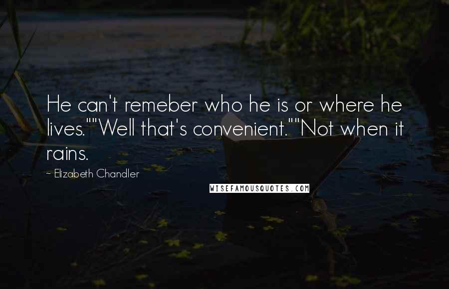 Elizabeth Chandler Quotes: He can't remeber who he is or where he lives.""Well that's convenient.""Not when it rains.