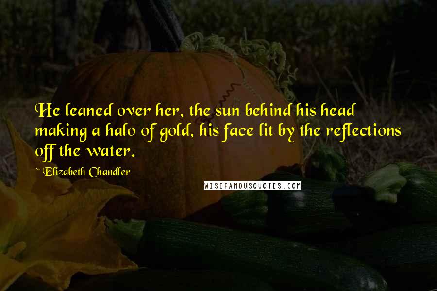 Elizabeth Chandler Quotes: He leaned over her, the sun behind his head making a halo of gold, his face lit by the reflections off the water.