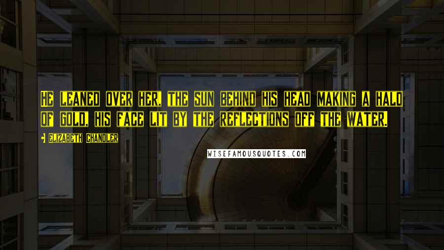 Elizabeth Chandler Quotes: He leaned over her, the sun behind his head making a halo of gold, his face lit by the reflections off the water.