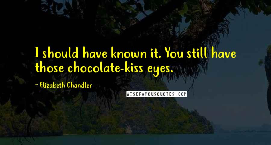 Elizabeth Chandler Quotes: I should have known it. You still have those chocolate-kiss eyes.
