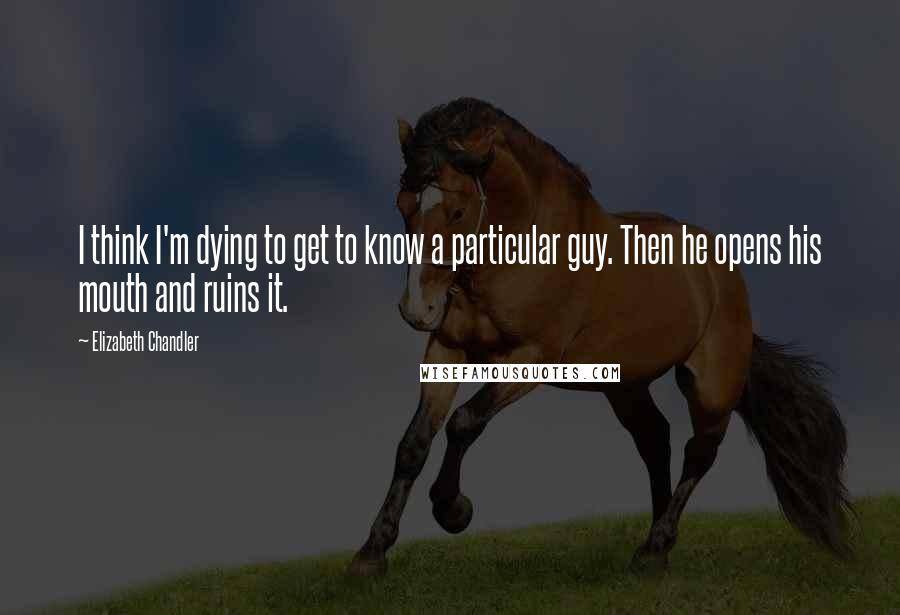 Elizabeth Chandler Quotes: I think I'm dying to get to know a particular guy. Then he opens his mouth and ruins it.