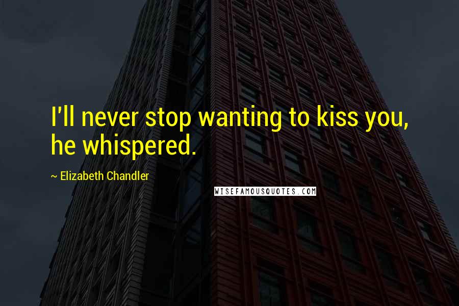 Elizabeth Chandler Quotes: I'll never stop wanting to kiss you, he whispered.