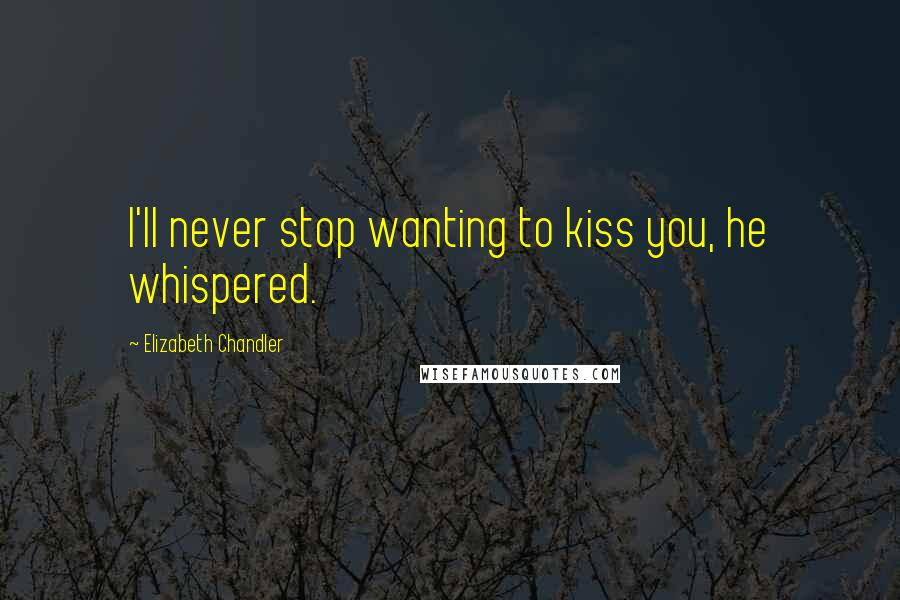 Elizabeth Chandler Quotes: I'll never stop wanting to kiss you, he whispered.