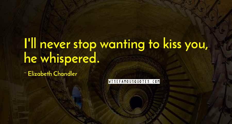 Elizabeth Chandler Quotes: I'll never stop wanting to kiss you, he whispered.