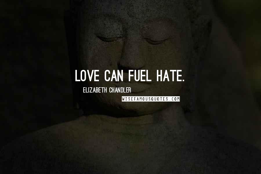 Elizabeth Chandler Quotes: Love can fuel hate.