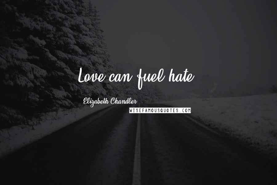 Elizabeth Chandler Quotes: Love can fuel hate.