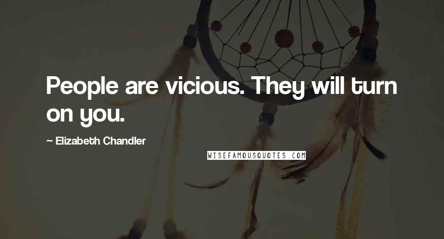 Elizabeth Chandler Quotes: People are vicious. They will turn on you.