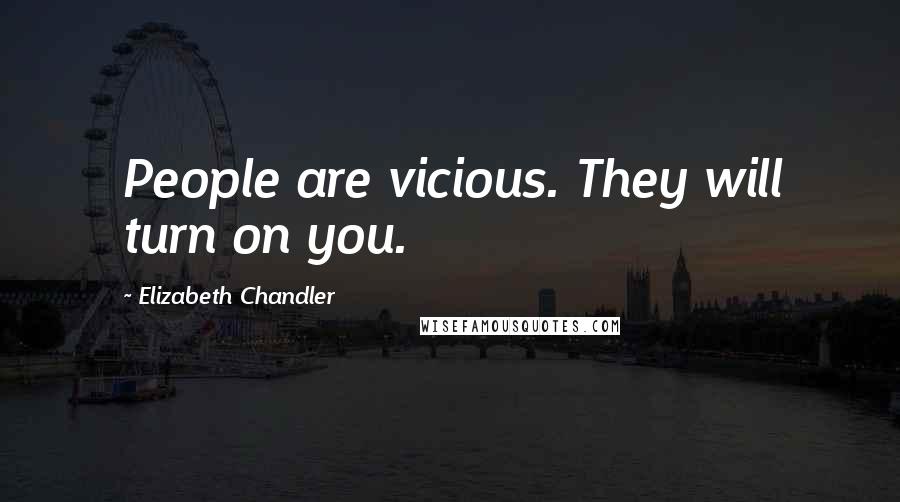 Elizabeth Chandler Quotes: People are vicious. They will turn on you.