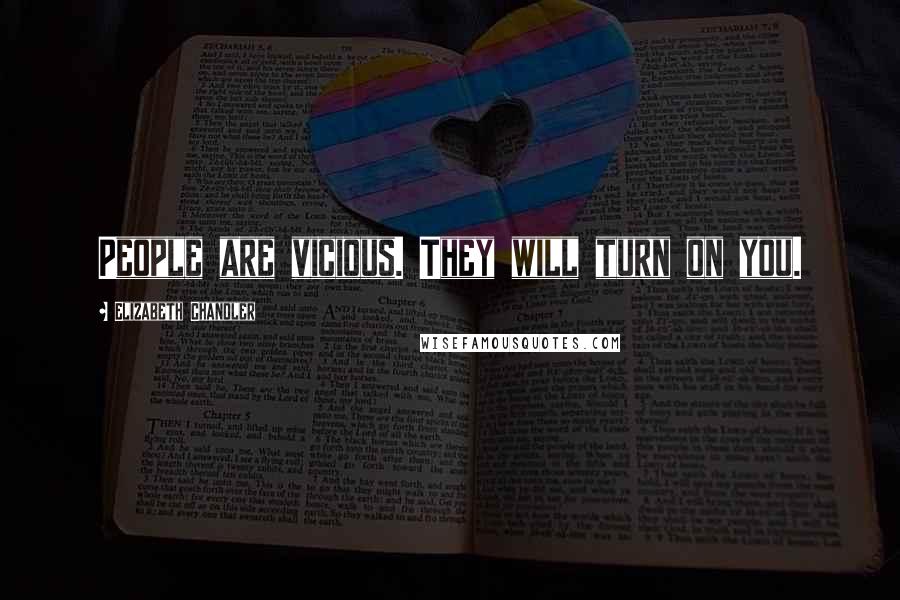 Elizabeth Chandler Quotes: People are vicious. They will turn on you.