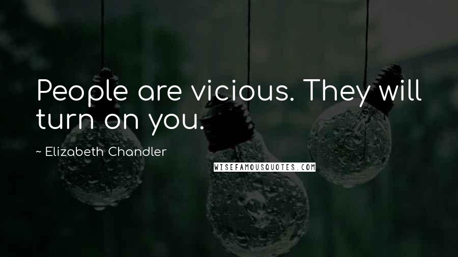 Elizabeth Chandler Quotes: People are vicious. They will turn on you.