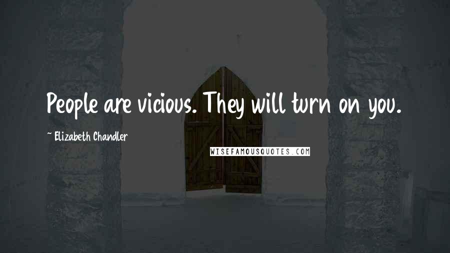 Elizabeth Chandler Quotes: People are vicious. They will turn on you.