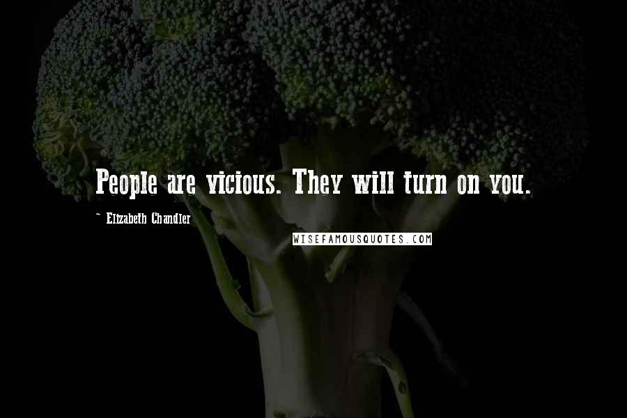 Elizabeth Chandler Quotes: People are vicious. They will turn on you.