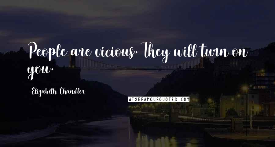 Elizabeth Chandler Quotes: People are vicious. They will turn on you.