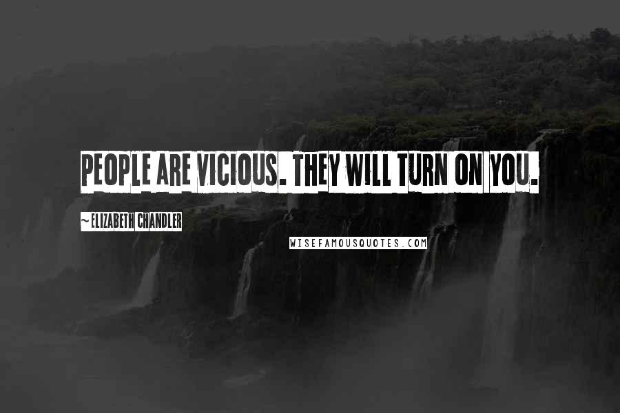Elizabeth Chandler Quotes: People are vicious. They will turn on you.