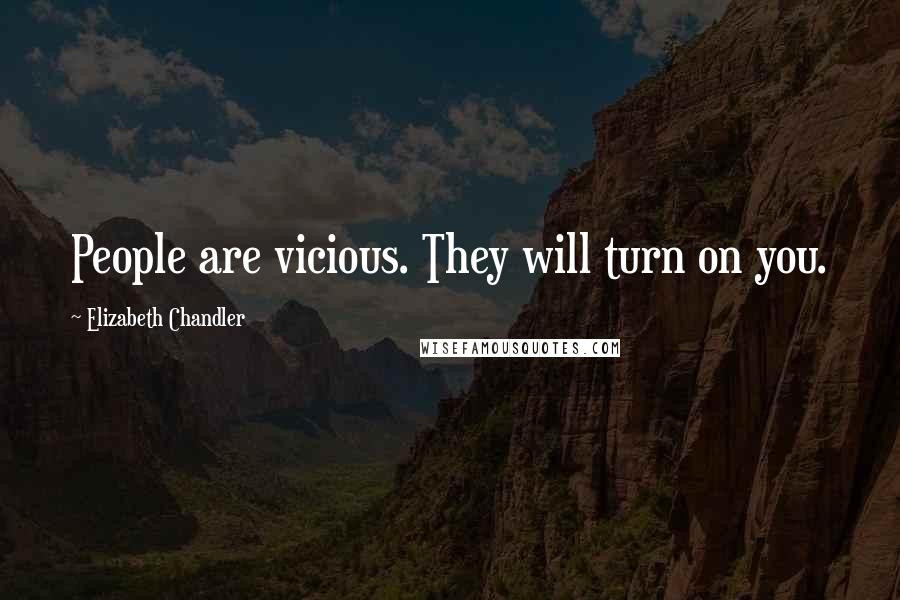 Elizabeth Chandler Quotes: People are vicious. They will turn on you.