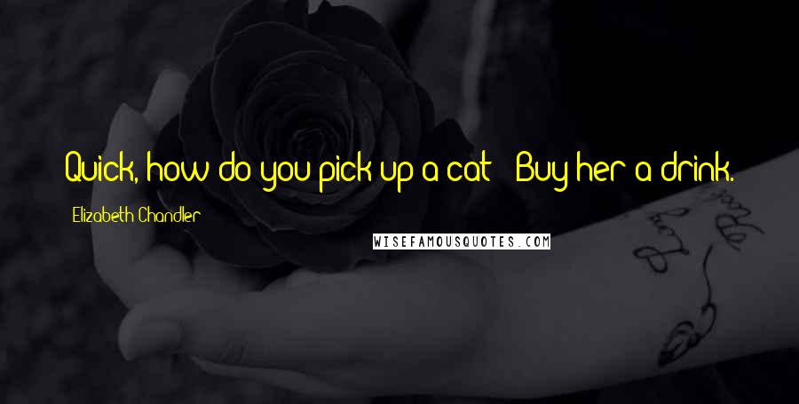Elizabeth Chandler Quotes: Quick, how do you pick up a cat?""Buy her a drink.