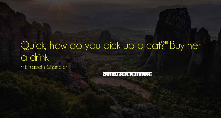 Elizabeth Chandler Quotes: Quick, how do you pick up a cat?""Buy her a drink.