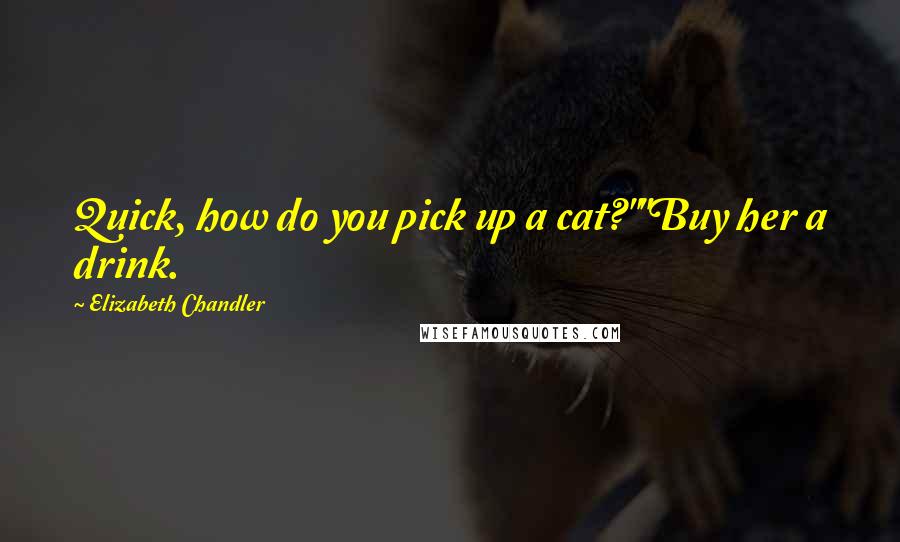 Elizabeth Chandler Quotes: Quick, how do you pick up a cat?""Buy her a drink.