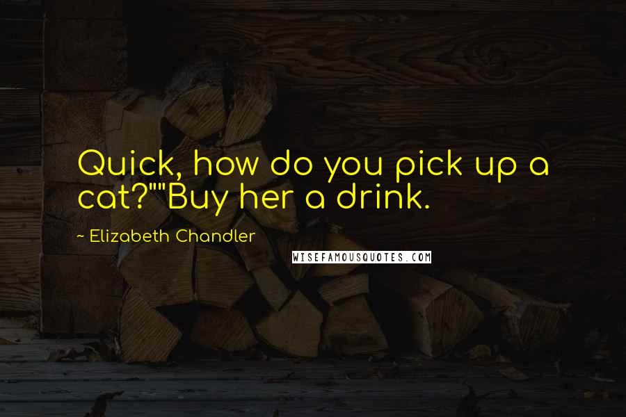 Elizabeth Chandler Quotes: Quick, how do you pick up a cat?""Buy her a drink.