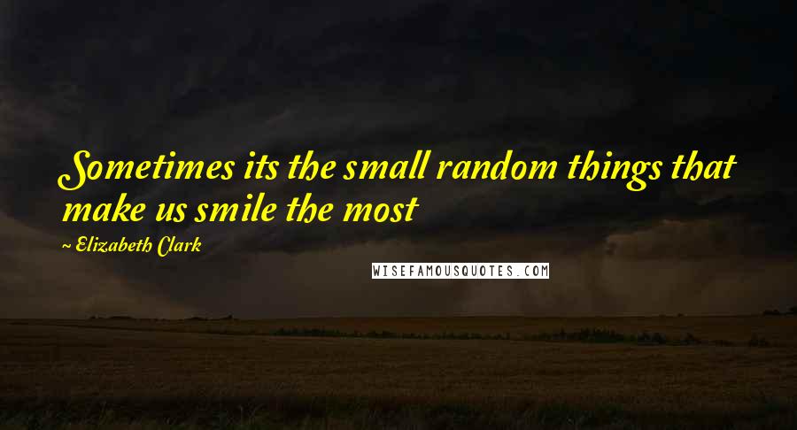 Elizabeth Clark Quotes: Sometimes its the small random things that make us smile the most