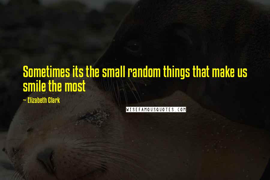 Elizabeth Clark Quotes: Sometimes its the small random things that make us smile the most
