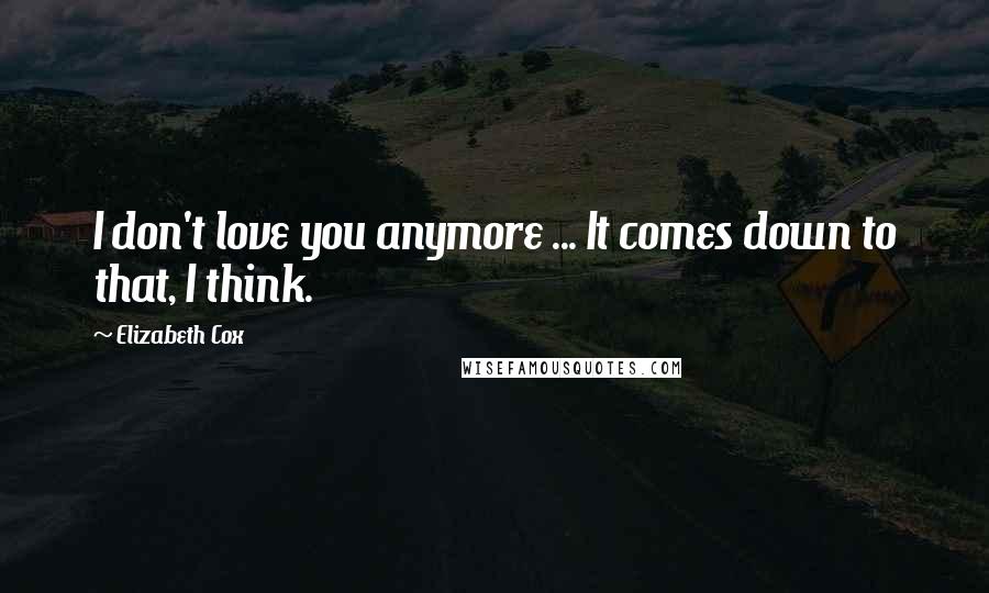 Elizabeth Cox Quotes: I don't love you anymore ... It comes down to that, I think.