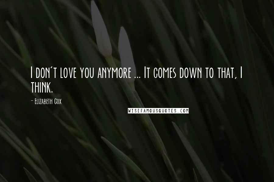 Elizabeth Cox Quotes: I don't love you anymore ... It comes down to that, I think.