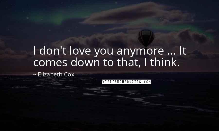 Elizabeth Cox Quotes: I don't love you anymore ... It comes down to that, I think.