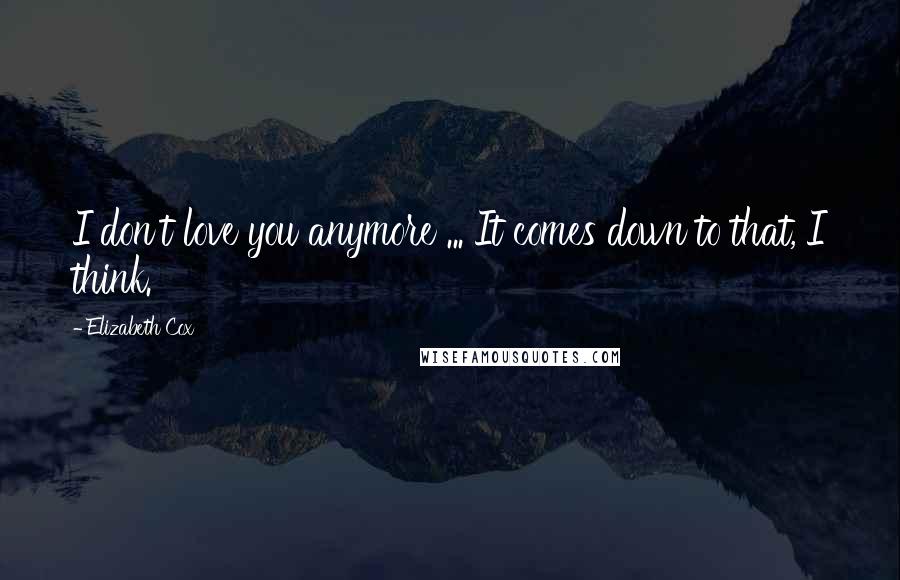 Elizabeth Cox Quotes: I don't love you anymore ... It comes down to that, I think.