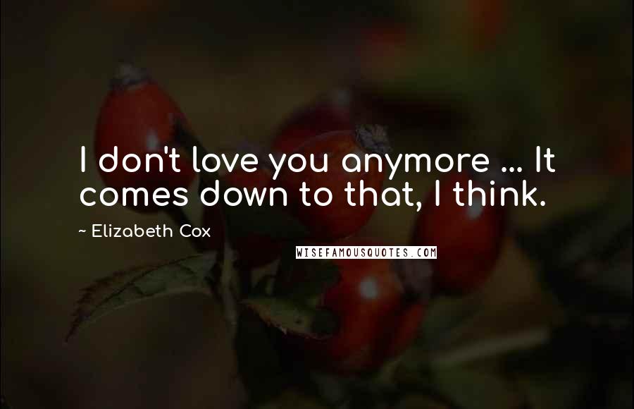 Elizabeth Cox Quotes: I don't love you anymore ... It comes down to that, I think.