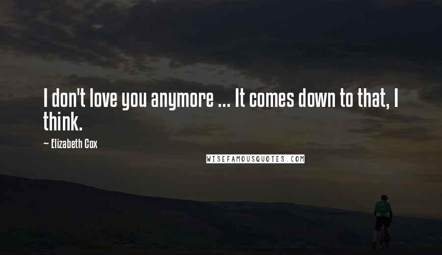 Elizabeth Cox Quotes: I don't love you anymore ... It comes down to that, I think.