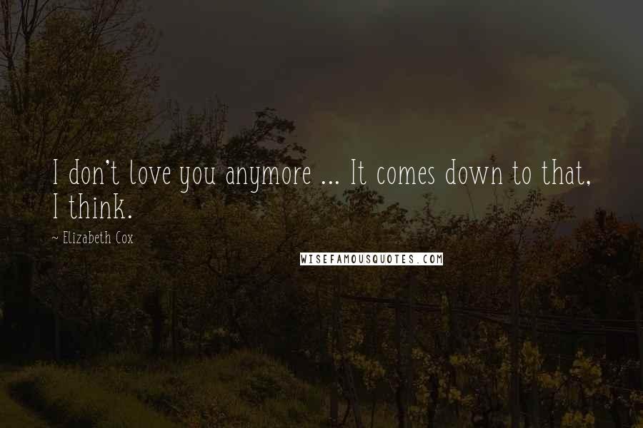 Elizabeth Cox Quotes: I don't love you anymore ... It comes down to that, I think.