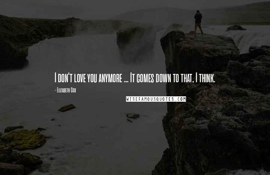 Elizabeth Cox Quotes: I don't love you anymore ... It comes down to that, I think.