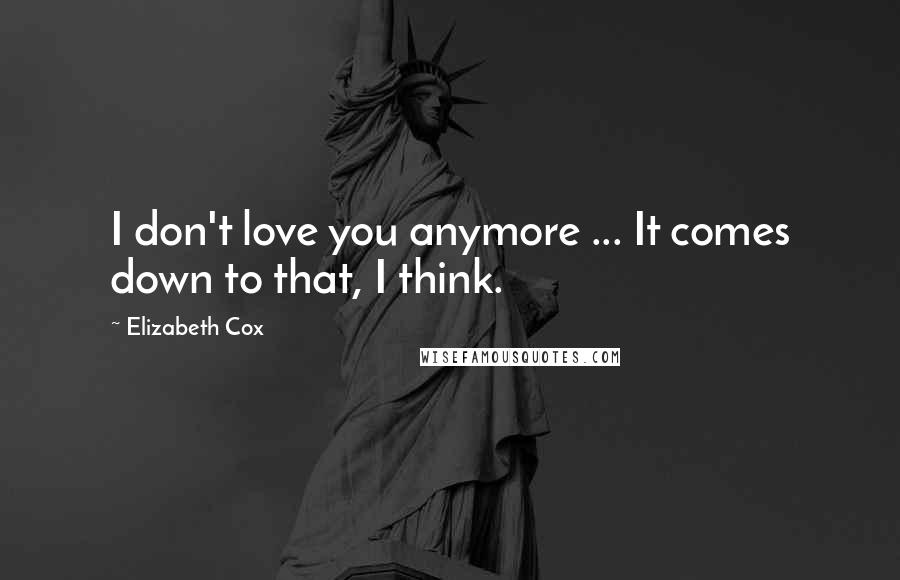 Elizabeth Cox Quotes: I don't love you anymore ... It comes down to that, I think.