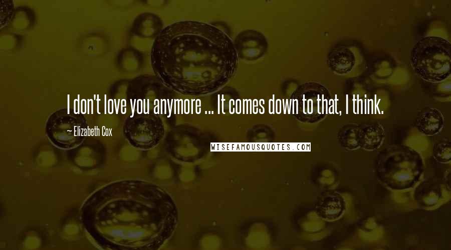 Elizabeth Cox Quotes: I don't love you anymore ... It comes down to that, I think.