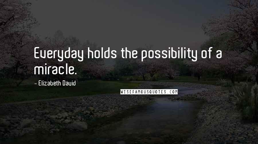 Elizabeth David Quotes: Everyday holds the possibility of a miracle.