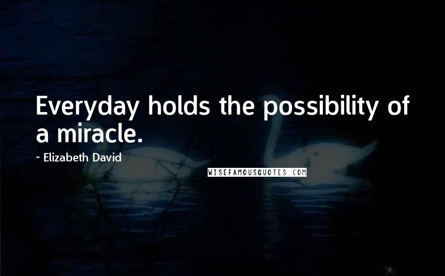 Elizabeth David Quotes: Everyday holds the possibility of a miracle.