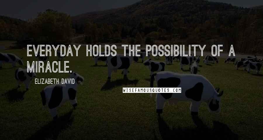 Elizabeth David Quotes: Everyday holds the possibility of a miracle.