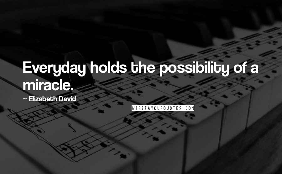 Elizabeth David Quotes: Everyday holds the possibility of a miracle.