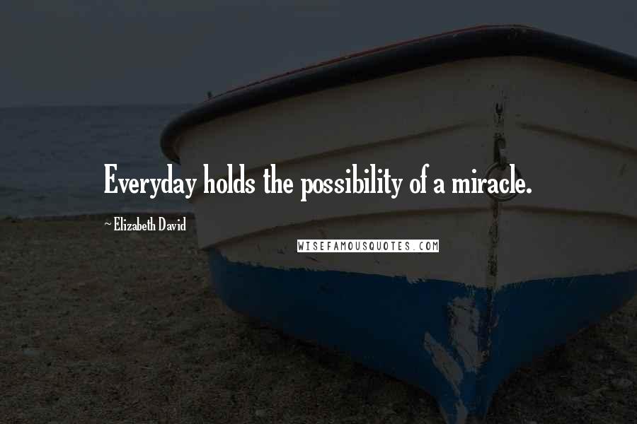 Elizabeth David Quotes: Everyday holds the possibility of a miracle.