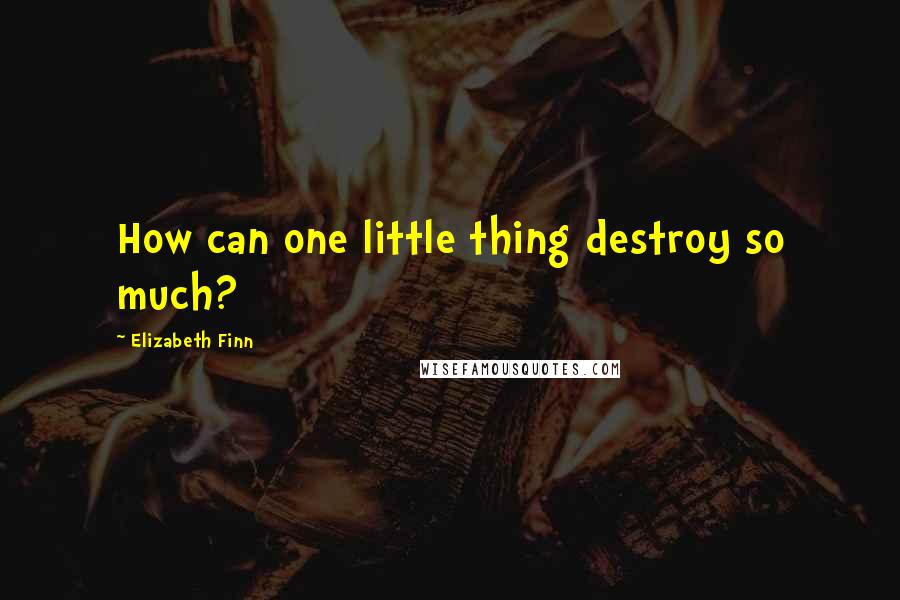 Elizabeth Finn Quotes: How can one little thing destroy so much?