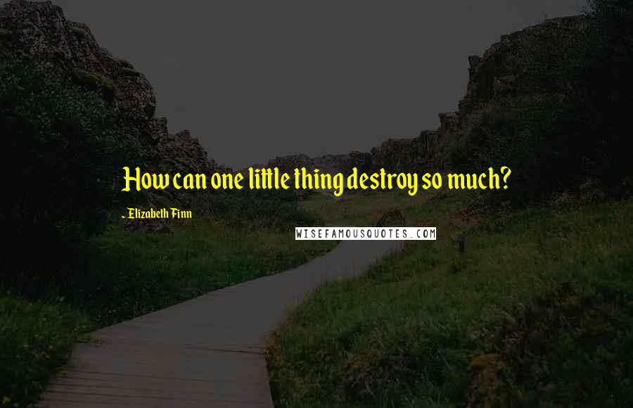 Elizabeth Finn Quotes: How can one little thing destroy so much?