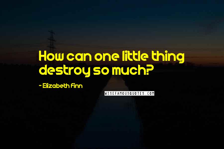 Elizabeth Finn Quotes: How can one little thing destroy so much?