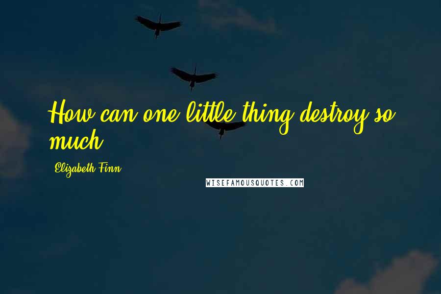 Elizabeth Finn Quotes: How can one little thing destroy so much?