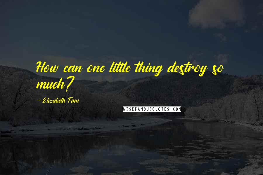 Elizabeth Finn Quotes: How can one little thing destroy so much?